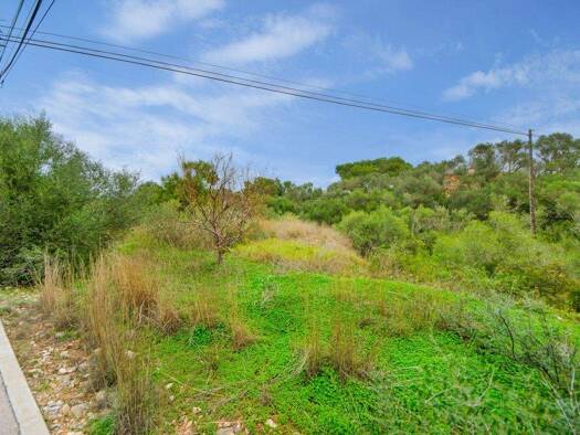 Gewerbegrundstück zum Kauf 320.000 € 2.546 m² Grundstück Sant Llorenç Des Cardassar 07530