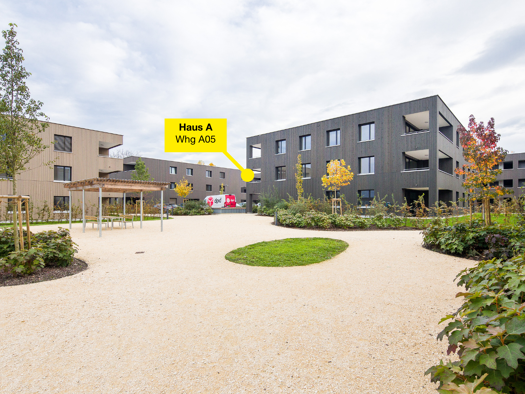 Terrassenwohnung zur Miete - Erstbezug 1.340 € 3 Zimmer 62,6 m² Bundesstraße 33b Höchst 6973