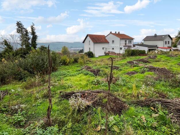 Grundstück zum Kauf 889 m² Grundstück Lautersheim 67308