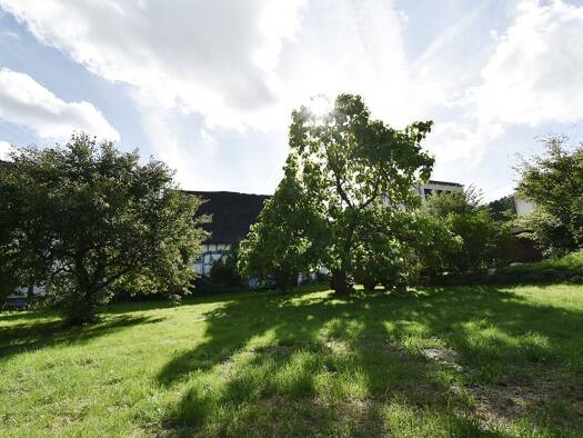 Grundstück zum Kauf 529.000 € 1.350 m² Grundstück Niederauroff Idstein 65510