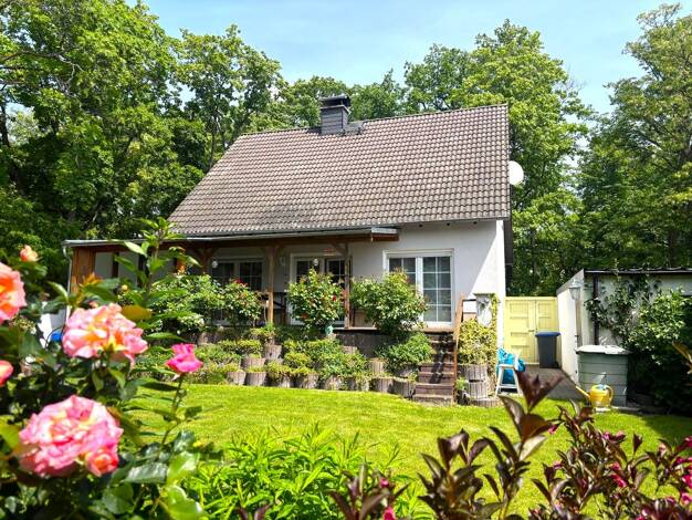 Einfamilienhaus zum Kauf 325.000 € 4 Zimmer 117 m² 790 m² Grundstück Wermsdorf Wermsdorf 04779