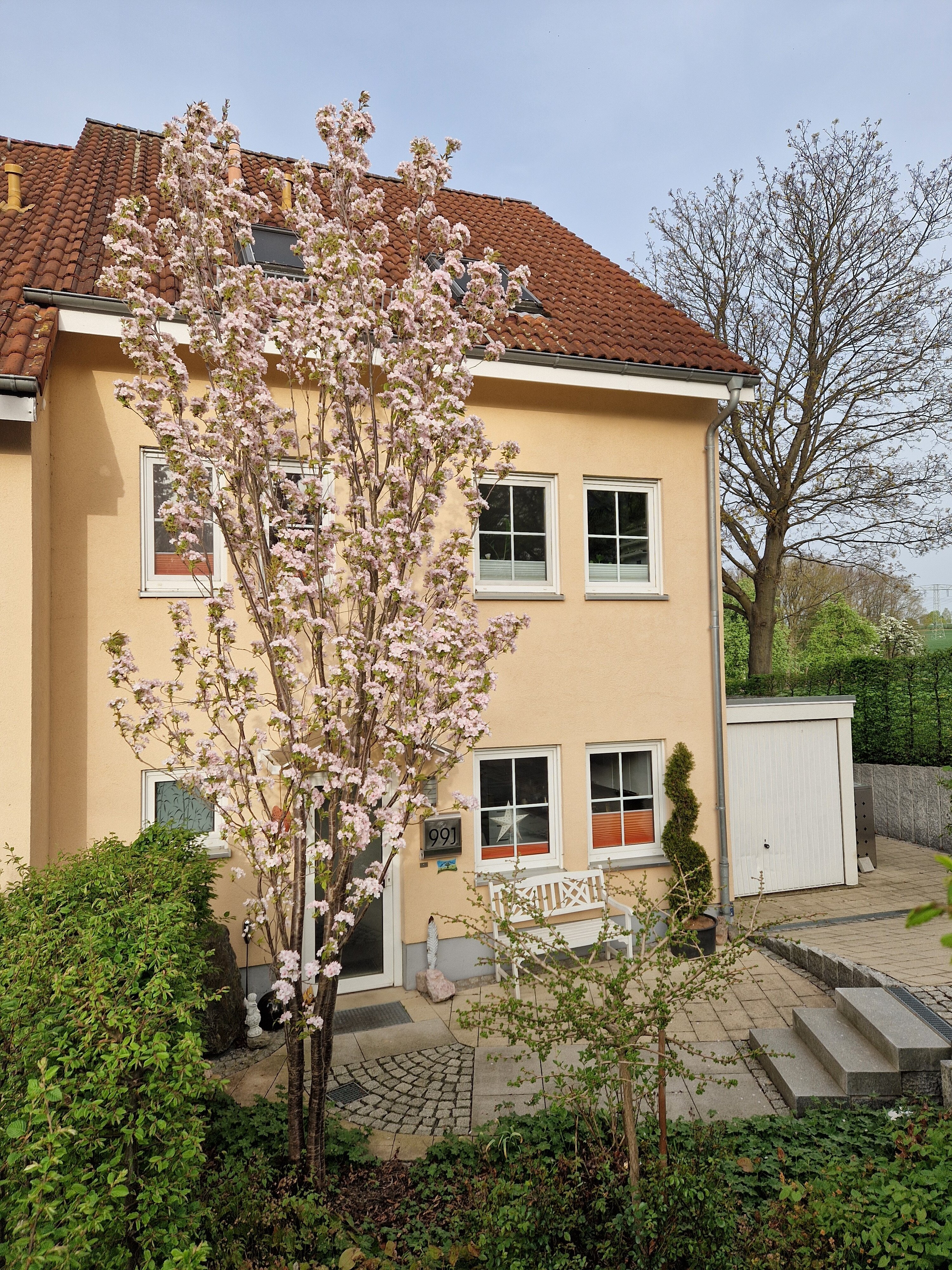 Doppelhaushälfte zum Kauf 365.000 € 6 Zimmer 150 m²<br/>Wohnfläche 708 m²<br/>Grundstück Ernst-Schneller-Str. 99 J Kuhschnappel St. Egidien 09356