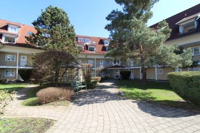 Wohnung zum Kauf 169.000 € 2 Zimmer 62 m² Ebersbach Ebersbach-Musbach 88371