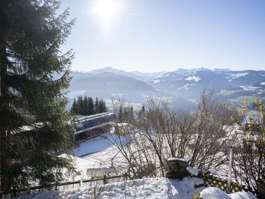 Haus zum Kauf 3 Zimmer 224 m² 1.700 m² Grundstück Hopfgarten im Brixental 6361