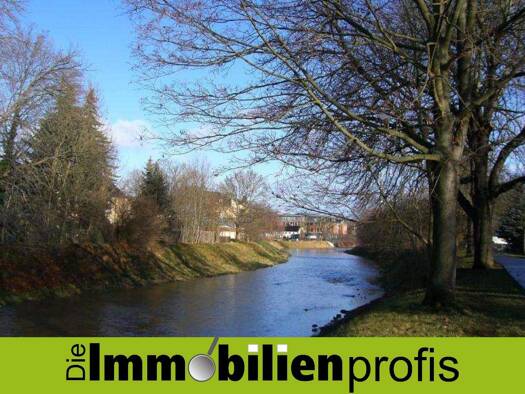 Wohnung zur Miete 460 € 3,5 Zimmer 84 m² frei ab sofort Südvorstadt Plauen 08527