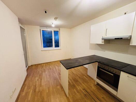 Wohnung zur Miete 464 € 2 Zimmer 39 m² Niesenbergergasse Gries Graz 8020
