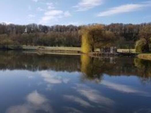 Haus zum Kauf 630.000 € 1 Zimmer 60.000 m² Grundstück Robechies 6460