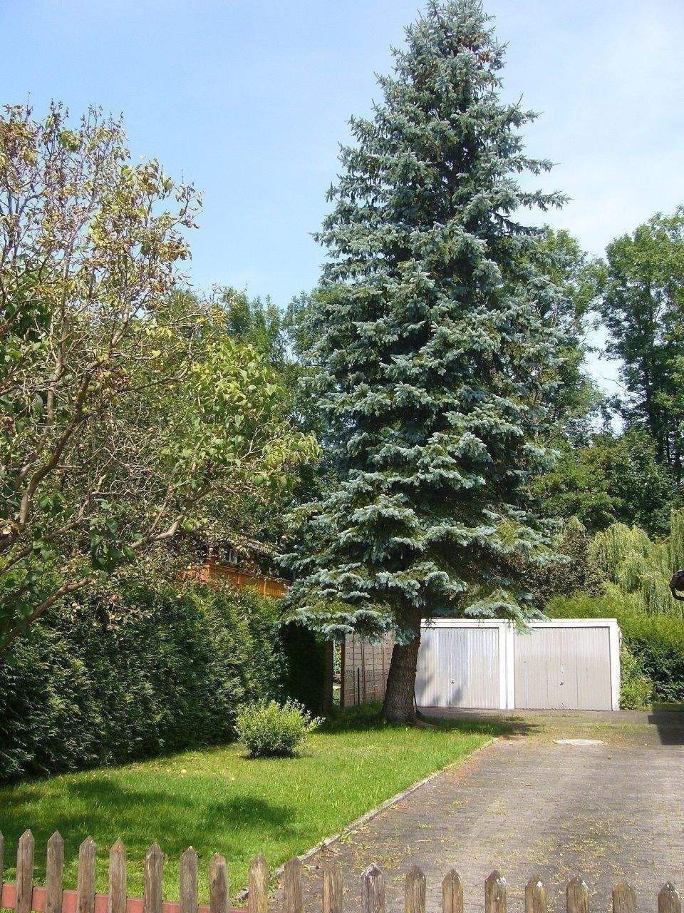 Immobilie in Bruckmühl - Renovierungsbedürftige Zweifamilienhaus 172 m² Wohnfläche mit ca. 606 m² Grundstück in Bruckmühl - Bild 4