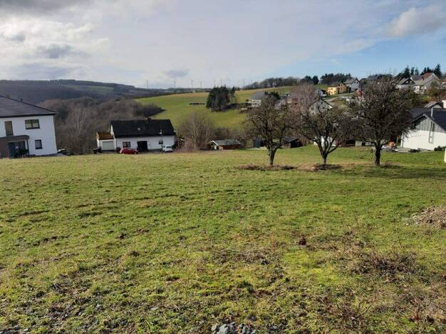 Grundstück zum Kauf 49.003 € 983 m² Grundstück Schönberg 54426