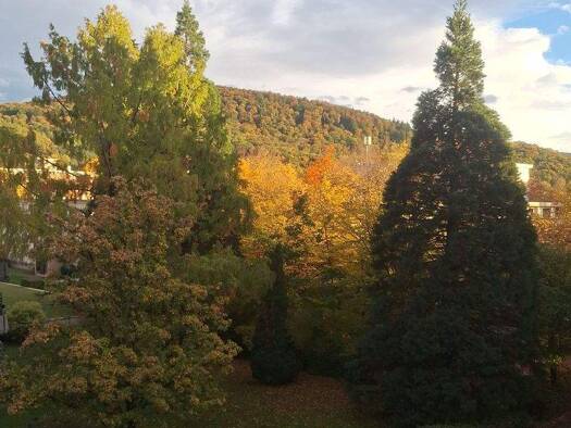 Wohnung zum Kauf provisionsfrei 275.000 € 2,5 Zimmer 68 m² Berliner Straße 98 Denzlingen 79211