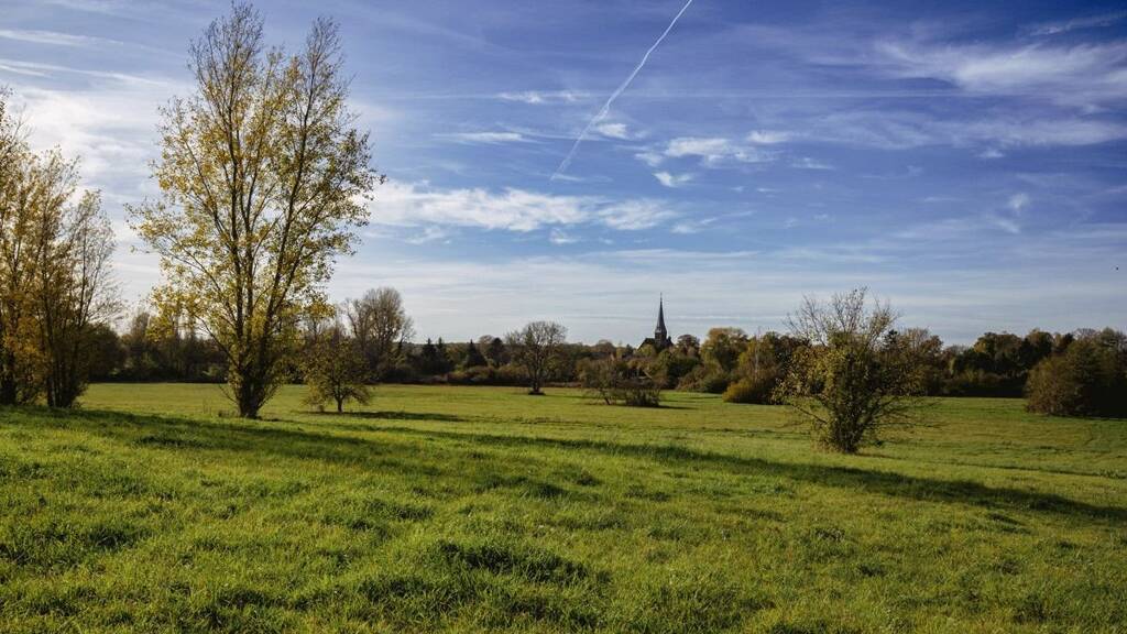 Grundstück zum Kauf 347.600 € 632 m² Grundstück Geltow 14548