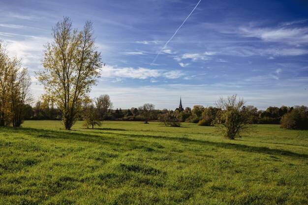 Grundstück zum Kauf 347.600 € 632 m² Grundstück Geltow Geltow 14548