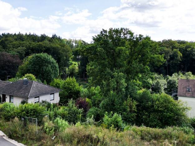 Grundstück zum Kauf 210.000 € 612 m² Grundstück Tecklenburg Tecklenburg 49545