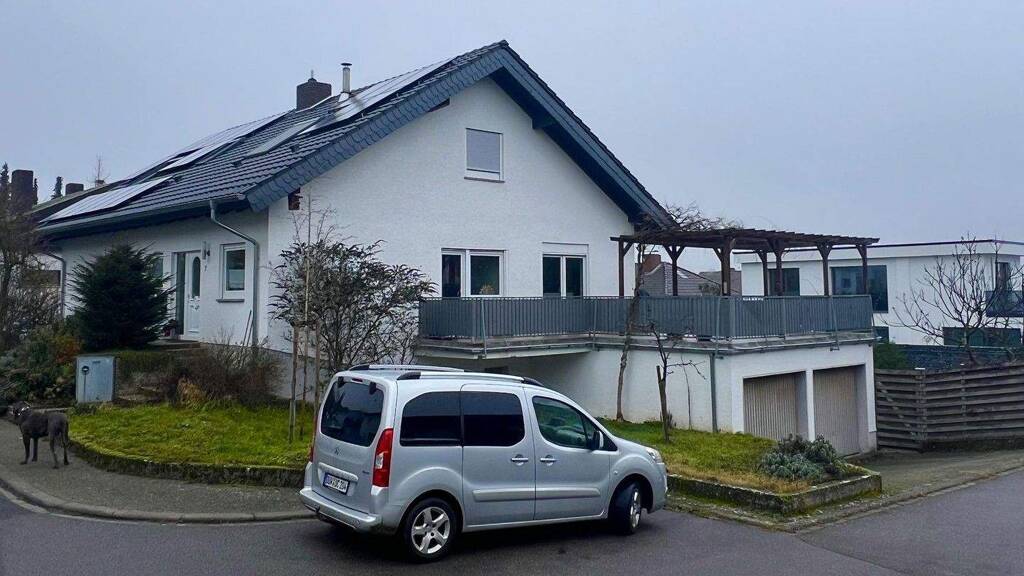 Einfamilienhaus zum Kauf provisionsfrei 735.000 € 8 Zimmer 257,4 m² 700 m² Grundstück Grünstadt 67269