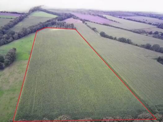 Landwirtschaftliche Fläche zum Kauf 74.616 m² Grundstück Harsefeld Harsefeld 21698
