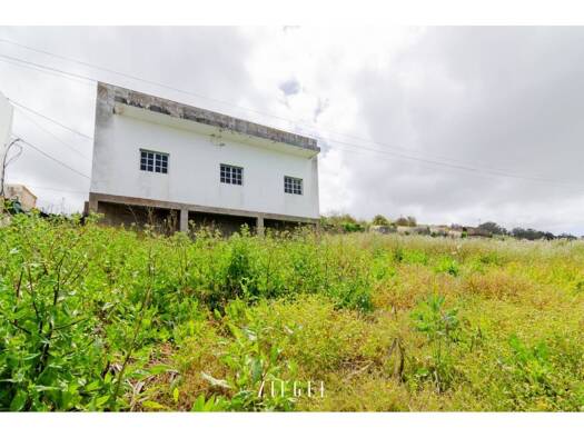 Acker-/Waldstück zum Kauf 230.000 € Caserio el Palmital 1 Santa María de Guía de Gran Canaria 35458