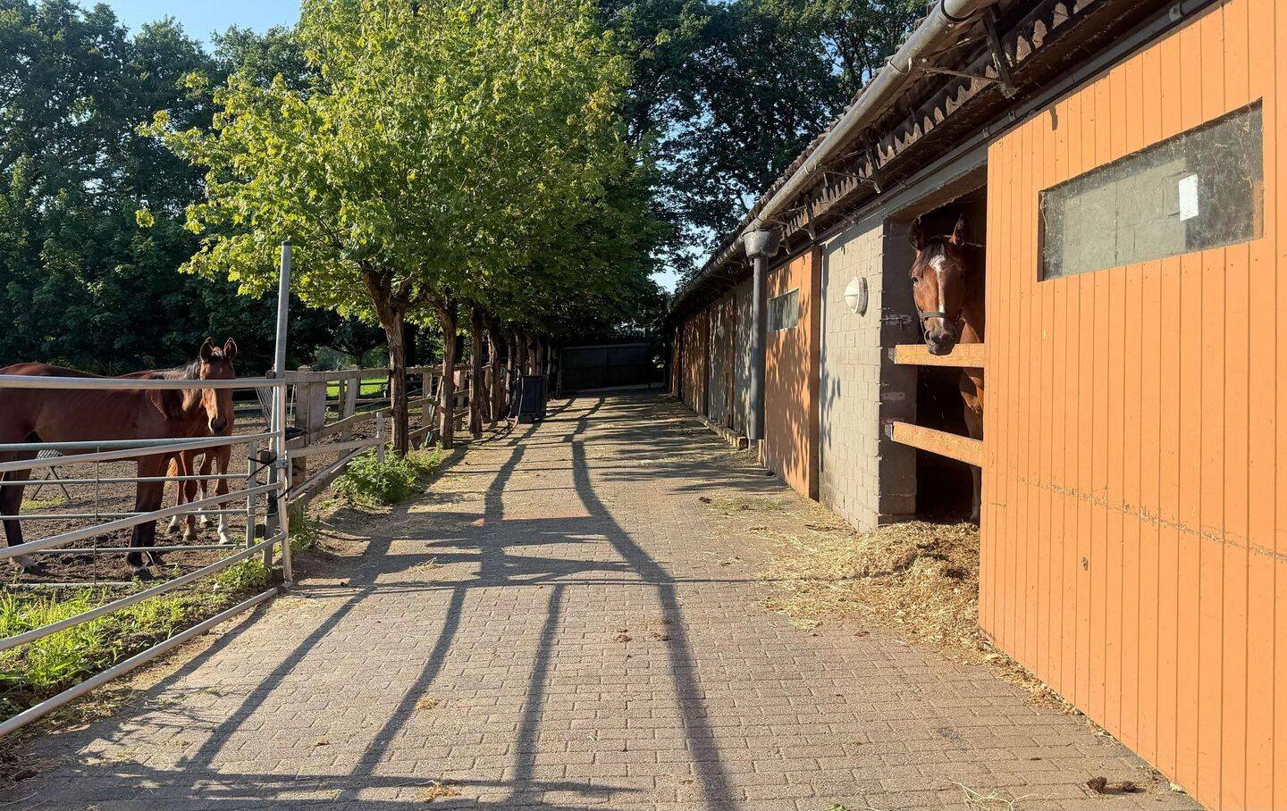 Lagerhalle zum Kauf - Mehr