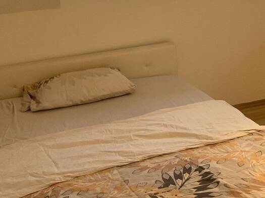 Einfamilienhaus zur Miete 550 € 1 Zimmer 25 m² frei ab sofort Eidelstedt Hamburg 22523