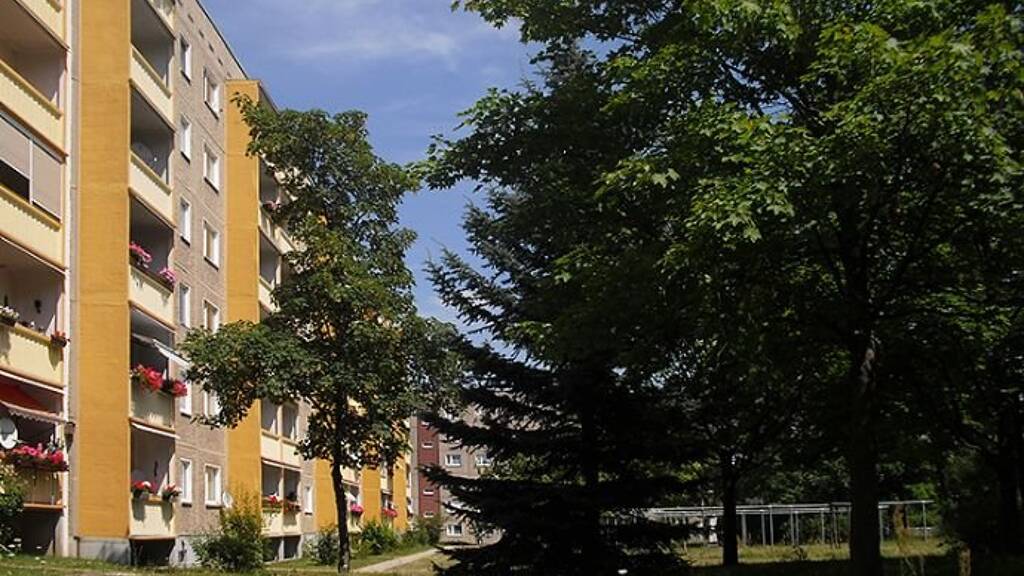 Wohnung zur Miete 305 € 3 Zimmer 66,5 m² 4. Geschoss Dr.-Eichmeyer-Str. 9 Großenhain 01558