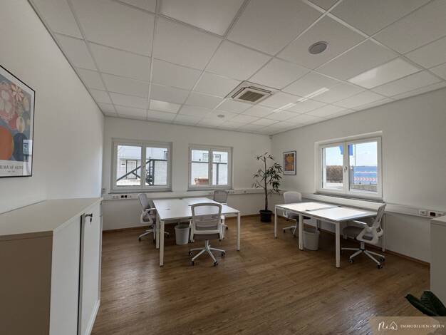 Büro zur Miete 450 € 25 m² Bürofläche Gutenberg-Stenzengreith 8160