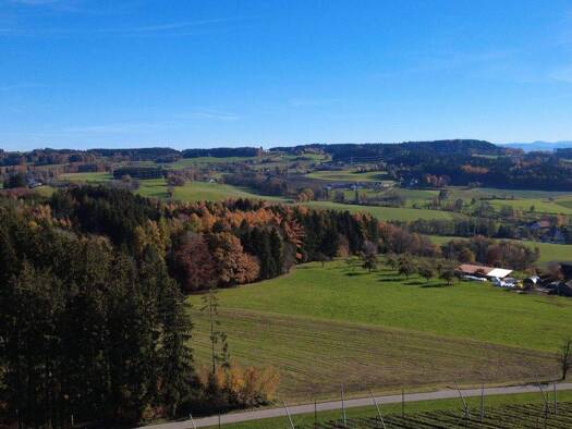 Einfamilienhaus zum Kauf 1.090.000 € 5 Zimmer 153 m² 7.547 m² Grundstück Grünkraut 88287