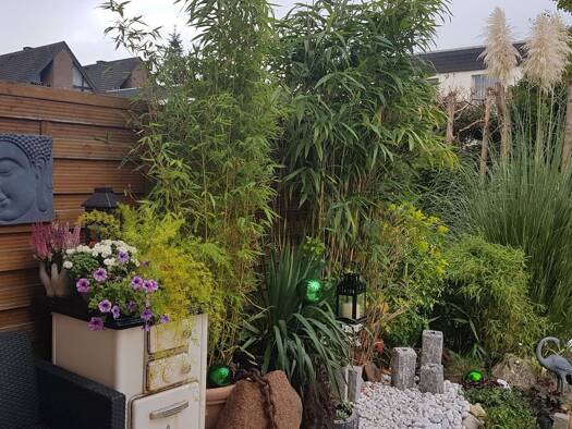 Terrassenwohnung zum Kauf provisionsfrei 265.000 € 2,5 Zimmer 79 m² Geschoss EG/3 Quadrath-Ichendorf Bergheim 50127