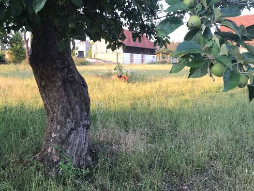 Grundstück zum Kauf provisionsfrei 260.000 € 2.885 m² Grundstück Hitzendorf Hohenfels 92366