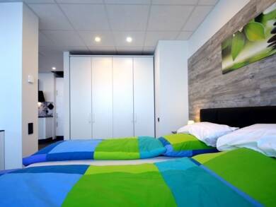 Studio zur Miete Wohnen auf Zeit 1.750 € 1 Zimmer 46 m² Kaiserstraße 73 Offenbach am Main Offenbach am Main 63065