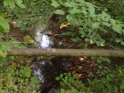 Acker-/Waldstück zum Kauf 6.000 € Batinova Kosa, Topusko Topusko 44415