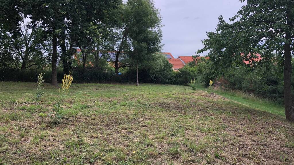 Grundstück zum Kauf provisionsfrei 100.000 € 950 m² Grundstück Köthenerstraße Krausnick Krausnick-Groß Wasserburg 15910