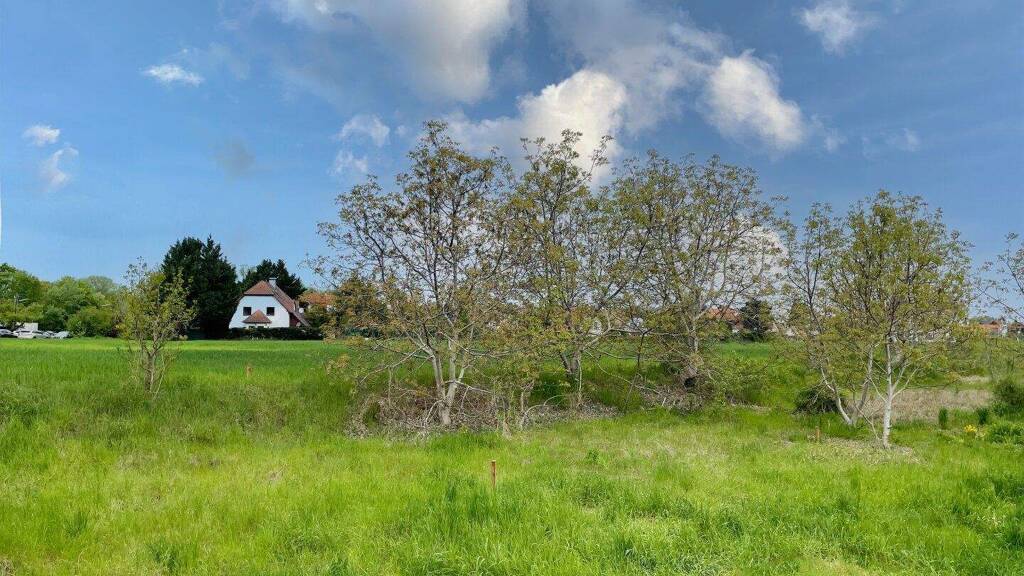 Freizeitgrundstück zur Miete 39 € 168 m² Grundstück Wien 1220