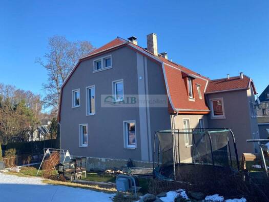 Mehrfamilienhaus zum Kauf 178.000 € 12 Zimmer 300 m² 650 m² Grundstück Thum 09419