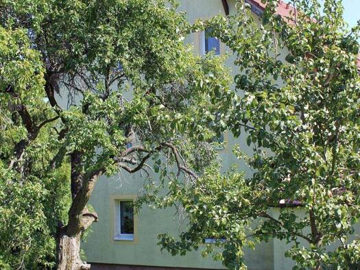 Einfamilienhaus zum Kauf 190.000 € 6 Zimmer 190 m² 1.450 m² Grundstück frei ab sofort Sadisdorf Dippoldiswalde 01744