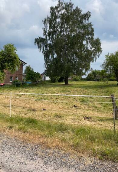 Grundstück zum Kauf provisionsfrei 47.000 € 1.034 m² Grundstück Sachsenhausen Waldeck 34513