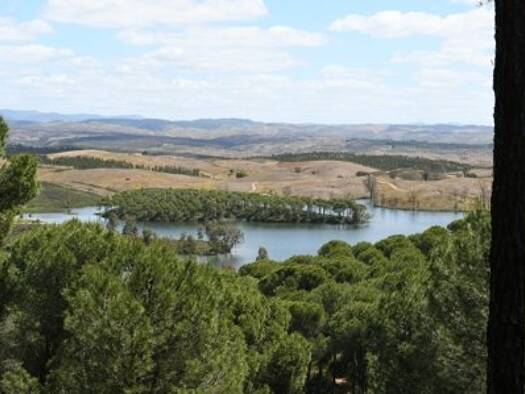 Bauernhaus zum Kauf provisionsfrei 175.000 € 4 Zimmer 120 m² 100.000 m² Grundstück Huelva 21207