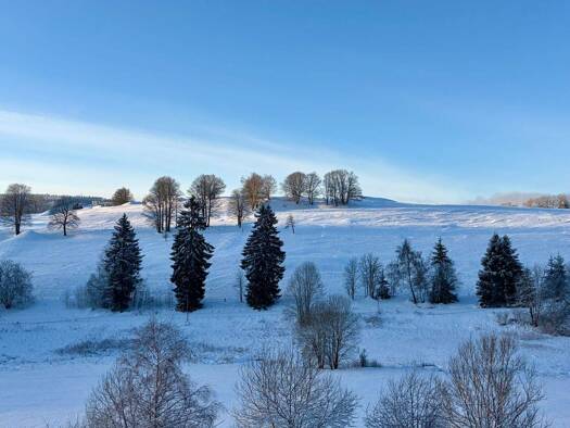 Wohnung zur Miete 950 € 4 Zimmer 93,6 m² 1 Geschosse frei ab sofort Schmiedefeld am Rennsteig 98711