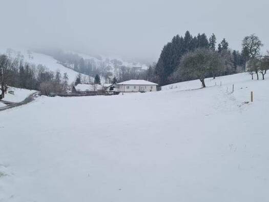 Grundstück zum Kauf 115.000 € 1.023 m² Grundstück Seitenstetten 3353