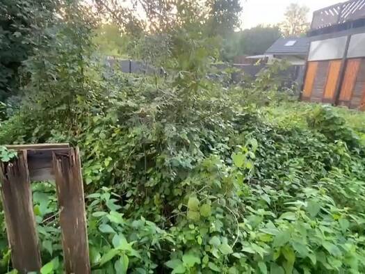 Grundstück zum Kauf 190.000 € 961 m² Grundstück Franken Sinzig 53489
