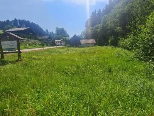 Grundstück zum Kauf 95.000 € 1.001 m² Grundstück Vorderstoder 4574