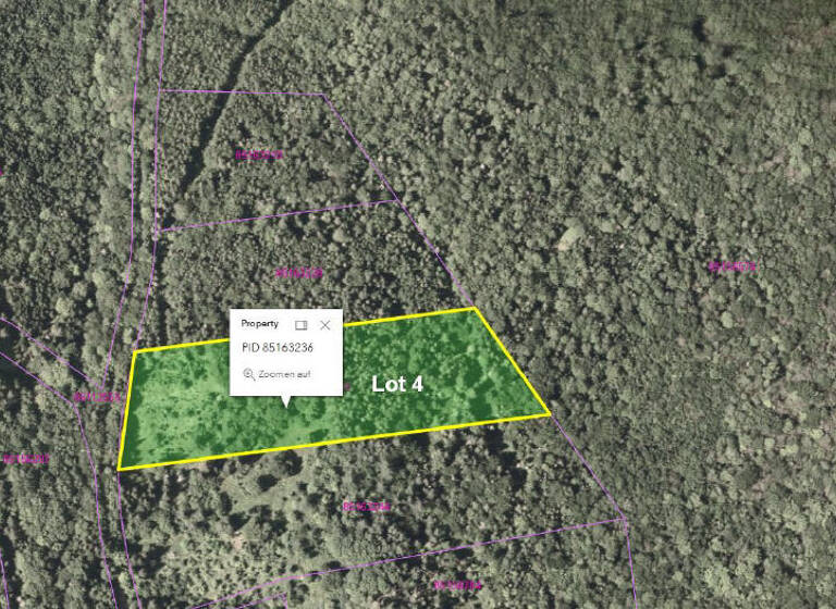 Grundstück zum Kauf 62.000 € 35.600 m² Grundstück Gold Brook Road 3Lots Upper Middle River 010