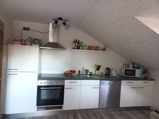 Wohnung zur Miete 450 € 2 Zimmer 58 m² frei ab sofort Innenstadt Hof 95032