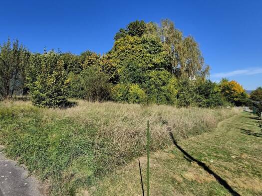 Grundstück zum Kauf 229.000 € 893 m² Grundstück Nittenau Nittenau 93149