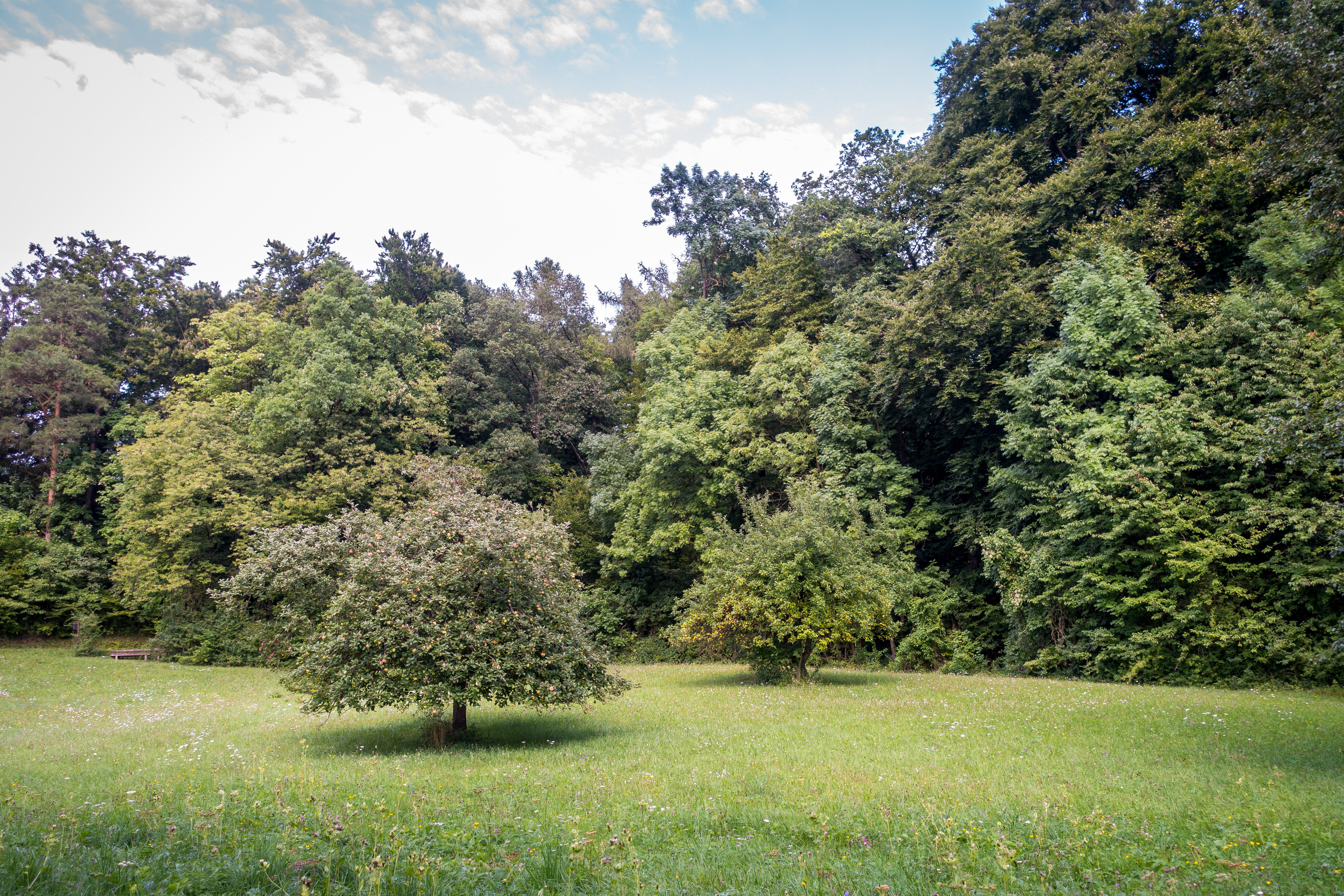 Grundstück zum Kauf provisionsfrei 240.000 € 619 m²<br/>Grundstück Stolzenhagen Wandlitz 16348