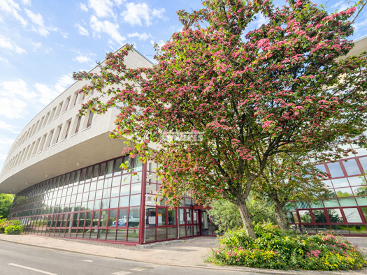 Bürofläche zur Miete provisionsfrei 13,50 € 733,8 m² Bürofläche teilbar ab 733,8 m² Daberstedt Erfurt 99099