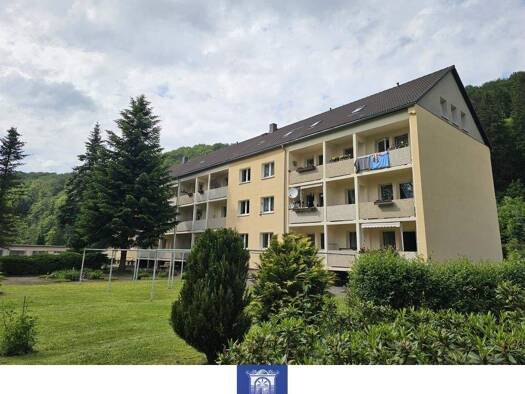 Wohnung zur Miete 300 € 3 Zimmer 67 m² Holzhau Rechenberg-Bienenmühle 09623