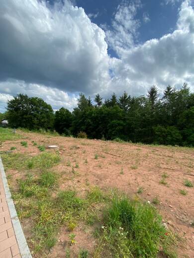 Grundstück zum Kauf provisionsfrei 99.000 € 508 m² Grundstück Trippstadt Trippstadt 67705