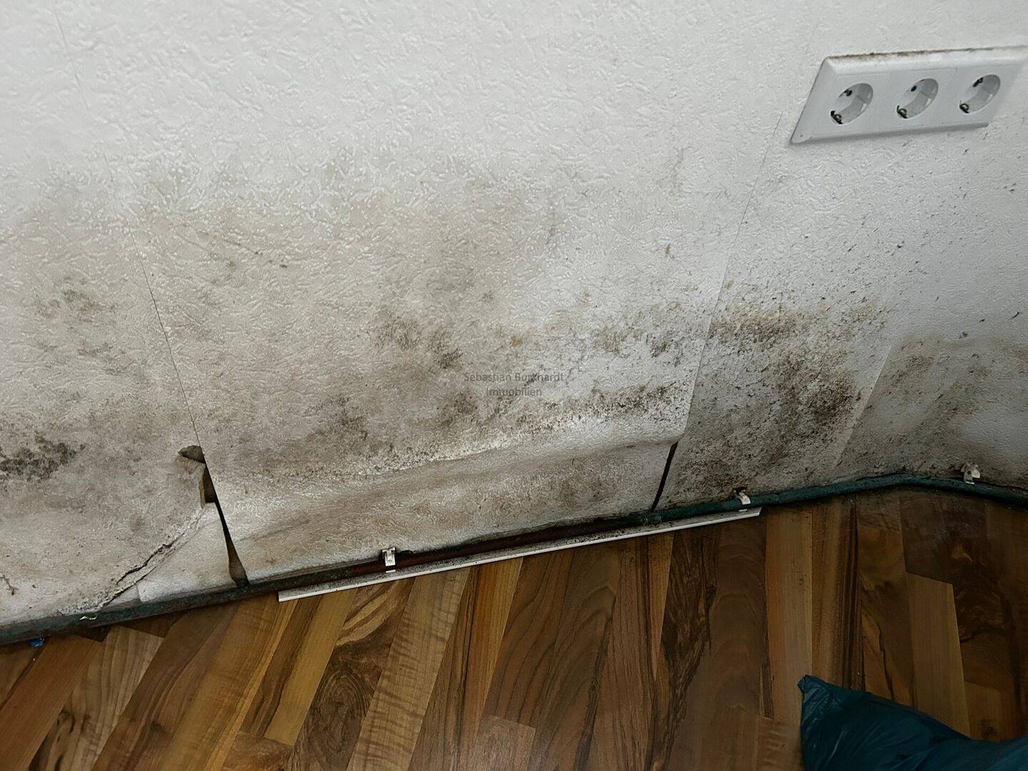 Einfamilienhaus zum Kauf - Ansicht 4