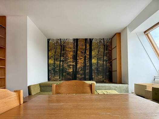Wohnung zur Miete 643 € 2 Zimmer 59 m² 4. Geschoss Hietzing 1130