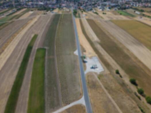Land-/Forstwirtschaft zum Kauf 33.439 € 4.777 m² Grundstück Auersthal 2214