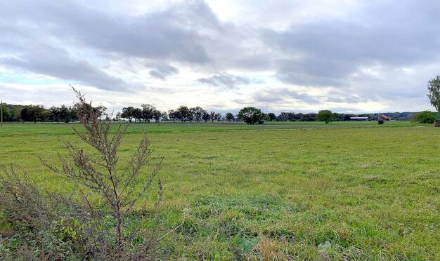 Land-/Forstwirtschaft zum Kauf 52.000 € 2.889 m² Grundstück Göggingen - Nordwest Augsburg 86199